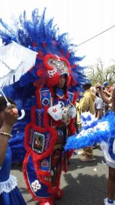 Mardi Gras Indian