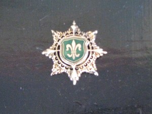 Fleur de lis jewelry