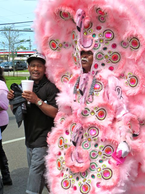 Big Chief in his Flamingo Suit